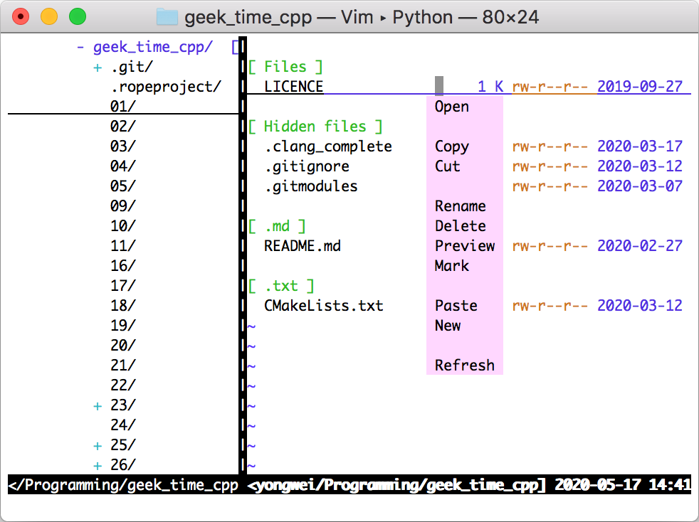 VimExplorer 的界面和右键菜单 Fig6.5